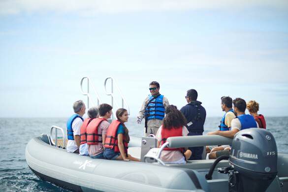 Celebrity Flora - Zodiac 3, ©CEL.jpg